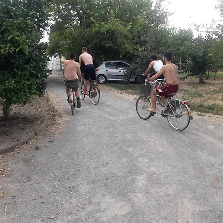 Doroteafarm, Dove Saltiamo Sull'amore E I Sogni
