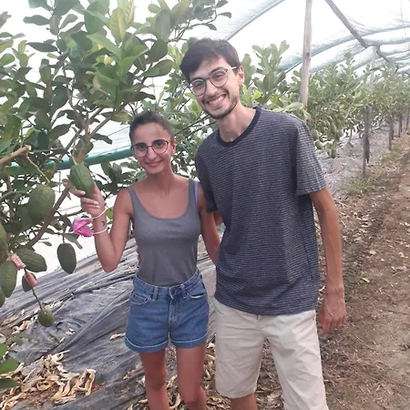 Doroteafarm, Dove Saltiamo Sull'amore E I Sogni Feriehus Scalea